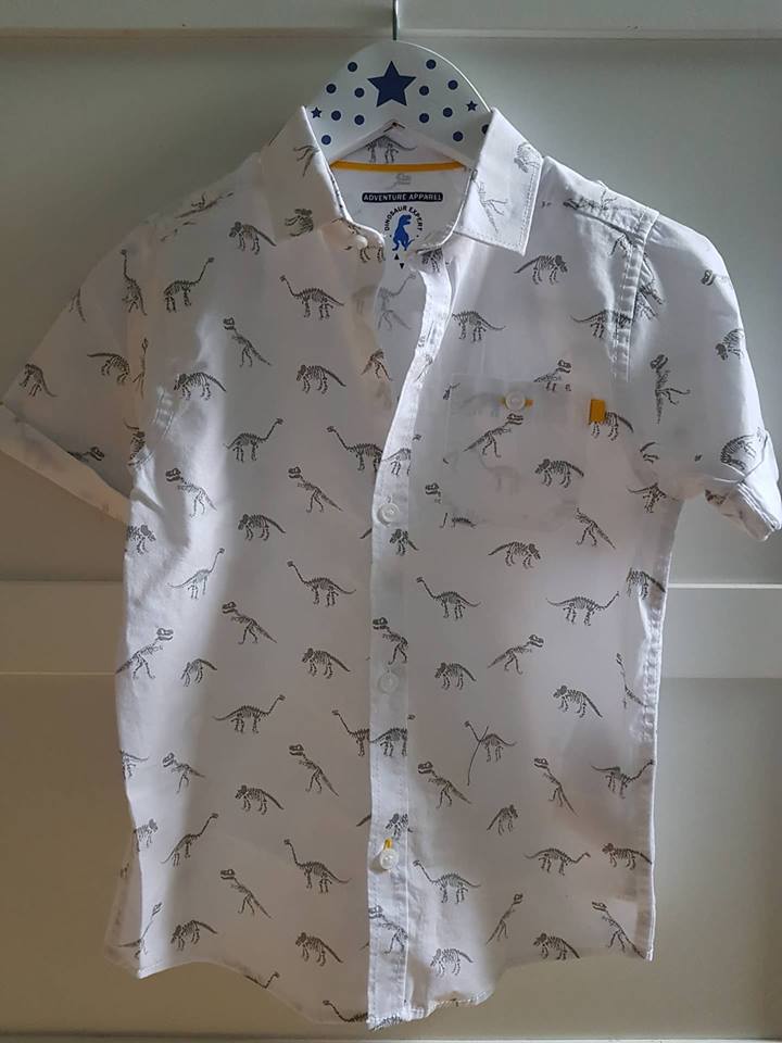 dino shirt