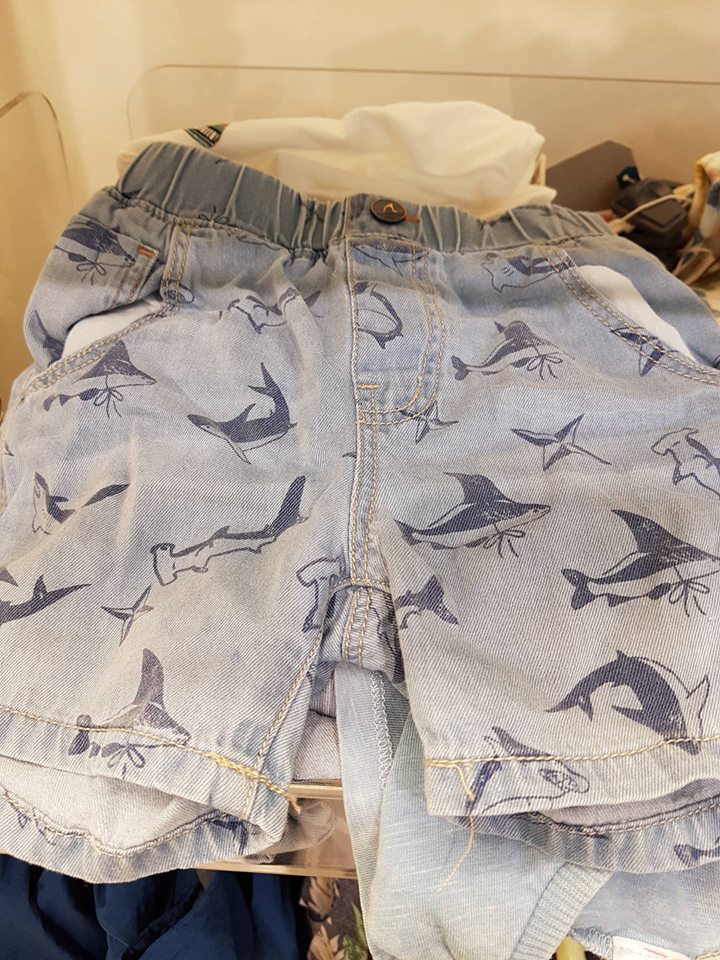 shark shorts